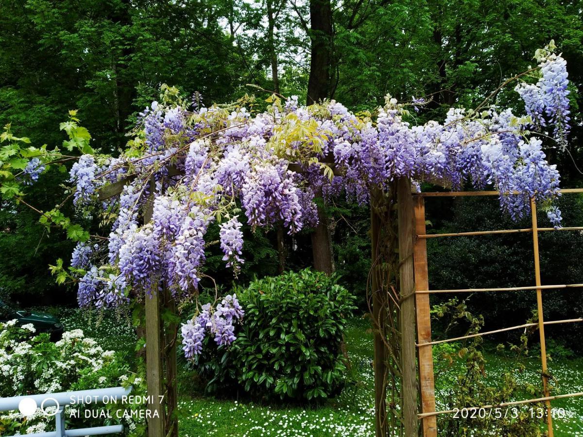 Апартаменты Holly Wood О Экстерьер фото